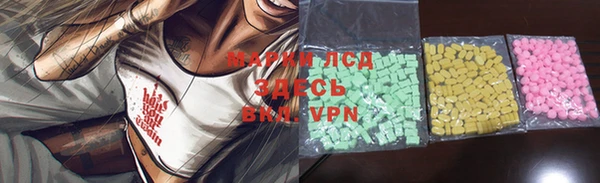 прущие грибы Абинск