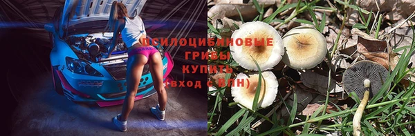 амф Абдулино
