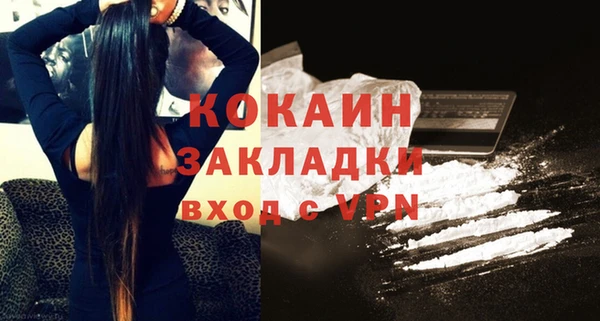 прущие грибы Абинск