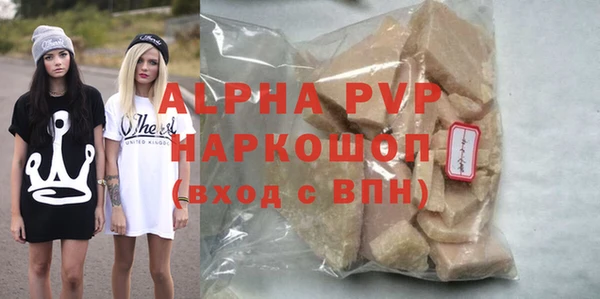 прущие грибы Абинск