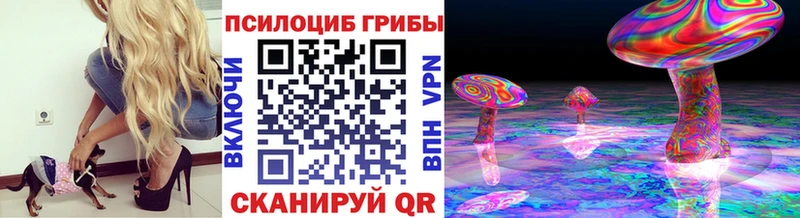 Галлюциногенные грибы Psilocybe  Приволжский 